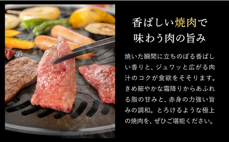 神戸牛 すき焼き＆焼肉 2.4kg / A4ランク以上 すき焼き用 焼肉 小分け (200g×3種×4パック) 密着包装 赤身 霜降り すき焼き肉 スライス 焼き肉 肩ロース ももスライス バラ肉 焼きしゃぶ 冷凍 国産牛 黒毛和牛 神戸ビーフ【帝神志方ミート】