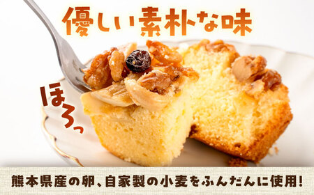 木の実のフルーツケーキ 5個セット フルーツケーキ BHAK012