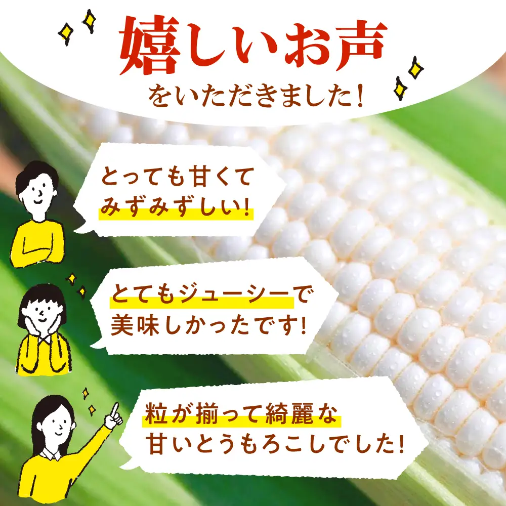 【先行予約】【数量限定】白いとうもろこし ホワイトショコラ 5本 とうもろこし 【ふるなびWEEK対象】 [BDAX001]
