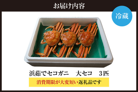 【先行予約】カネニの浜茹でセコガニ 大セコ 3匹入 【令和8年11月中旬以降発送予定】カニ かに カネニ 06-19