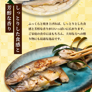 天然鮎の粕漬け 6匹