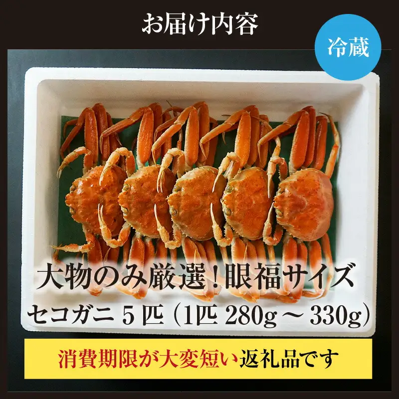 【先行予約】1匹 280g～330g 大物 眼福サイズ セコガニ 5匹セット 冷蔵 【令和8年11月中旬以降発送予定】かに カニ  06-25