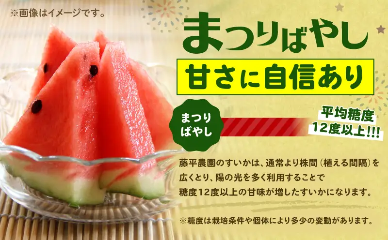 【 糖度12度以上 】シャリッ と 甘い 三浦の大玉スイカ まつりばやし11  2L 6～7kg を 2玉 M107-002-04 果物 すいか
