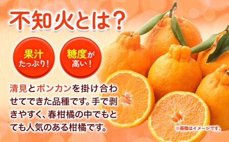 熟成貯蔵 不知火 約10kg しらぬい 不知火