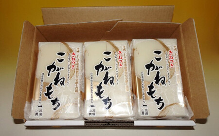 先行予約【期間・数量限定】杵つきこがねもち 白餅 400g入×6パック（計48切） 切り餅 新潟県産[Y0505]