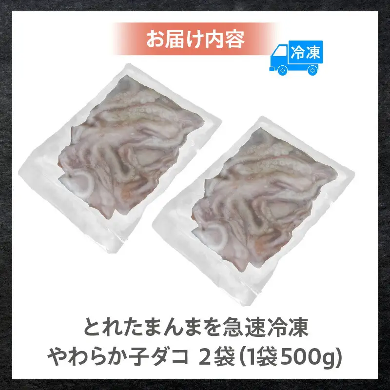 やわらか子ダコ 500g×2袋 冷凍 たこ  74-28