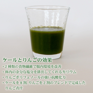 【3回定期便】りんご青汁1箱(100g×28袋) 国産 ケール 冷凍生