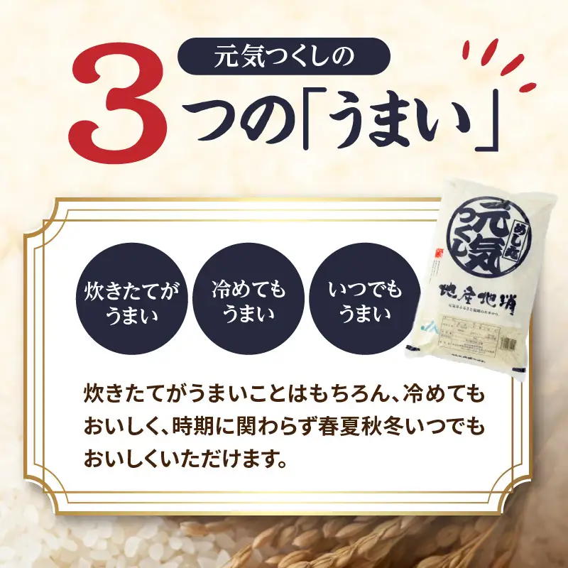 九州・福岡からお届け！ブランド米「元気つくし」 10kg(5kg×2) お米 米 コメ 白米 特A 直送 お弁当 おにぎり 炊きたて ツヤ 粘り もちもち 弾力 卵かけご飯 福岡県 八女市 072-334