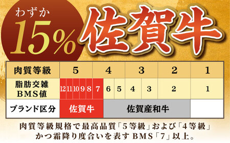 【限定100件】 佐賀牛 赤身 サイコロステーキ 400g がばいフーズ HCS123 佐賀牛 