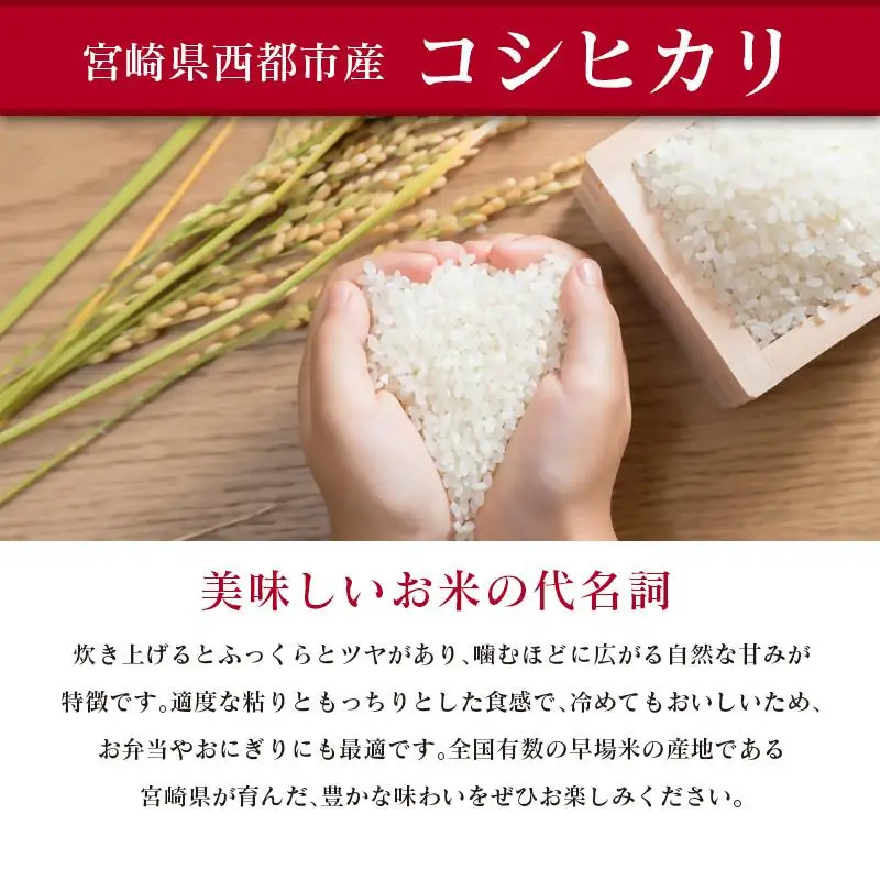 【3ヶ月定期便】 新米コシヒカリ無洗米 5kg×3 合計15kg 令和8年産 8月～10月発送 宮崎県西都市産＜18-23b＞こしひかり 精米 白米 お米