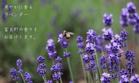 上富良野ラベンダーブーケ【スイート】 植物 ドライフラワー インテリア 装飾品 