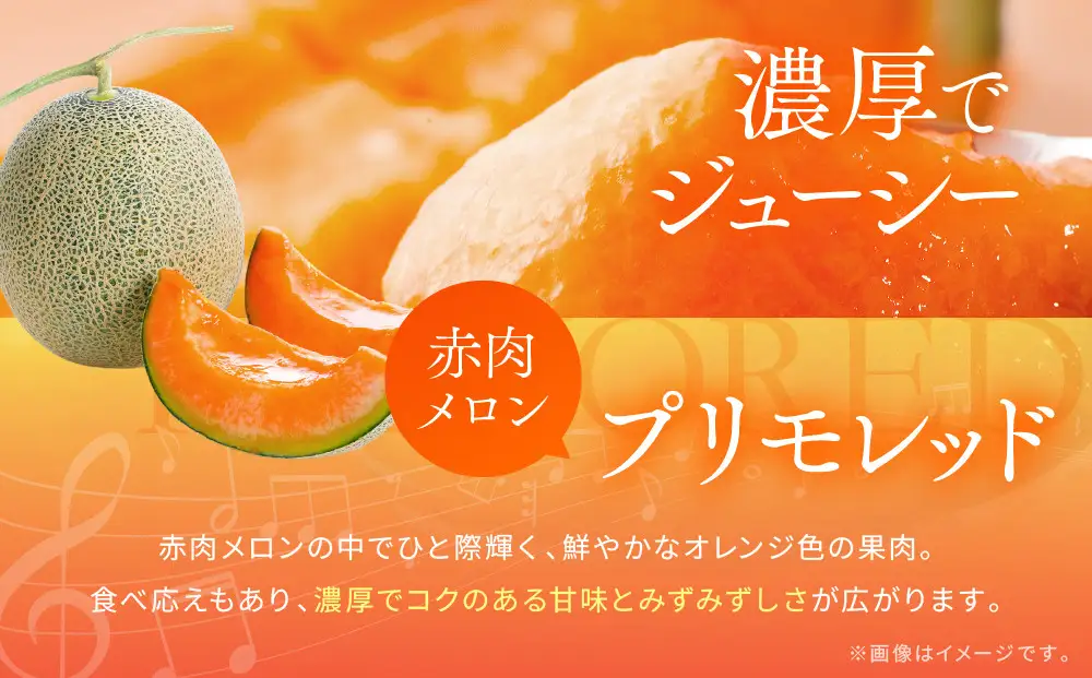 【先行予約】956.【ふるさと納税】青肉メロンディーバと赤肉メロンプリモレッドのセット ※日本全国配送可能  2026年10月上旬頃～11月上旬頃に順次発送予定