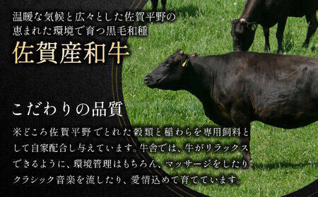 訳あり 佐賀産和牛切り落とし1.2kg(600g×2p）