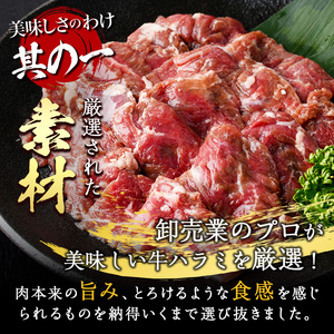 塩味 牛ハラミ (計200g) 小分け 牛肉 肉 ハラミ 牛はらみ 味付け 焼肉 塩 BBQ 冷凍 大分県 佐伯市【DH297】【(株)ネクサ】