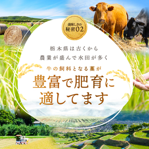 【定期便12回】宮福笑牛(とちぎ和牛) A5 サーロインステーキ 約200gx2枚