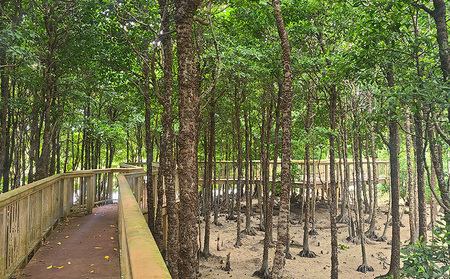 車椅子で金武町の自然と歴史とフードを満喫する我らが家は五大州5時間コース チケット