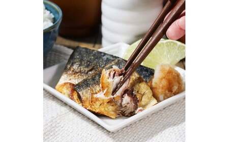 焼魚 4種食べ比べ(さば＋鮭＋旬の魚2種) 計8袋