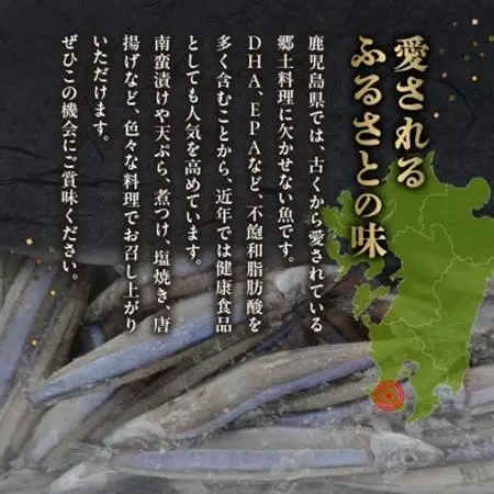 鹿児島県産キビナゴ1kg【配送不可地域：離島】【1186221】