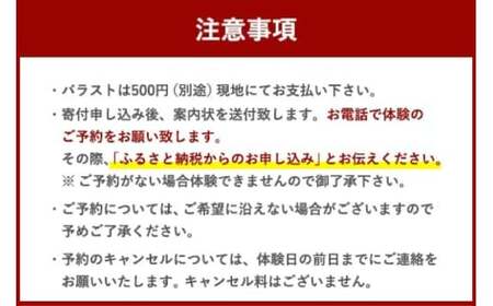 体験 ウェイクボード 上級者コース [SHOP川口機工 宮崎県 美郷町 31bj0015]