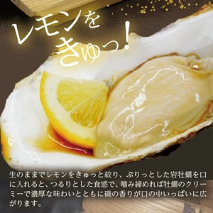 SF0370　天然岩牡蠣　計3kg以上(9～12個入)