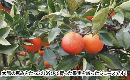 ブラッドオレンジ ストレート ジュース Suncito   ( サンシト )  720ml 化粧箱入り 名門サカイ オレンジジュース H010-085007