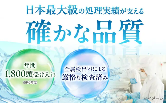 ジビエ 猪肉 ミンチ 500g×2パック 雲仙いのしし / 南島原市 / もりのめぐみ [SDB012]