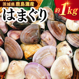 いばらき満喫Bセット 「鹿島灘産 はまぐり」＋「【茨城県共通返礼品・茨城県産】常陸の輝き (豚肉) 味噌漬け」【蛤 ハマグリ 三元豚 豚 ぶた ブタ セット バーベキュー BBQ 贈答用 ギフト 鹿嶋市 茨城】(KBL-21)