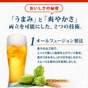 【6ヶ月定期便】新潟限定ビイル 風味爽快ニシテ（サッポロ） 350ml × 24本  shinbo3000_001