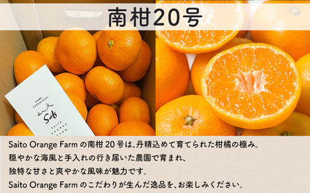 【先行予約】Saito Orange Farmの南柑20号10kg（2026年12月下旬頃より順次発送予定） IKTAQ019
