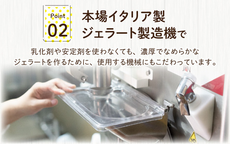 越前大野の「名水ジェラート」おまかせ 6個セット