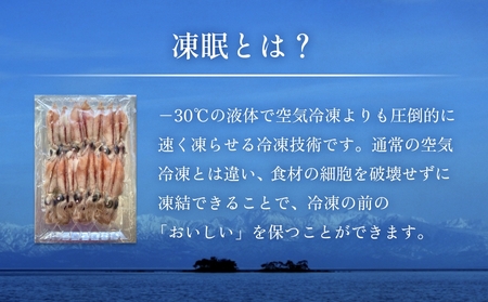 生冷凍ホタルイカ（凍眠） 300g 富山県 氷見市 ほたるいか しゃぶしゃぶ 冷凍　ホタルイカ