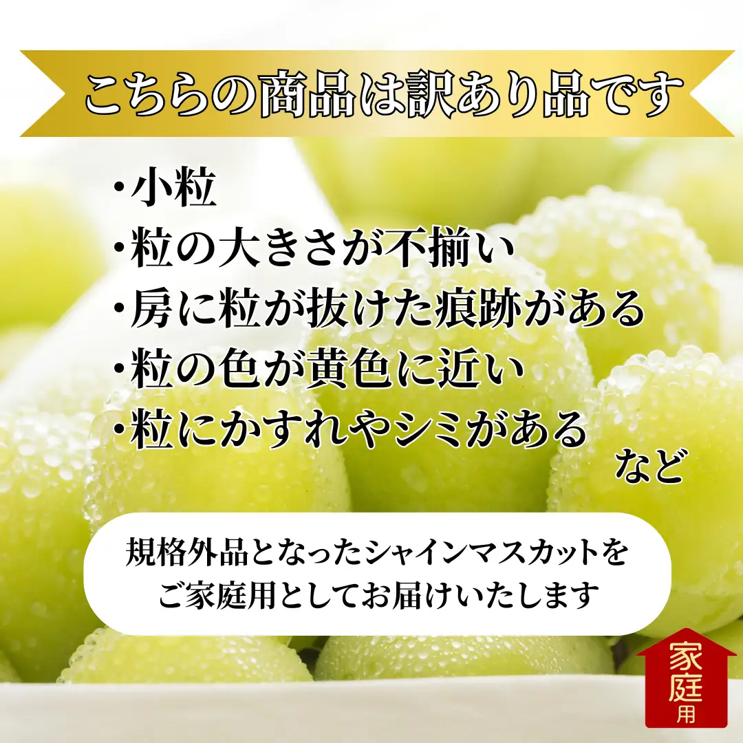 【訳あり】山梨県産旬のシャインマスカット 約1kg（2～3房）ご家庭用【2026年発送】（LKS）A08-850 シャインマスカット フルーツ