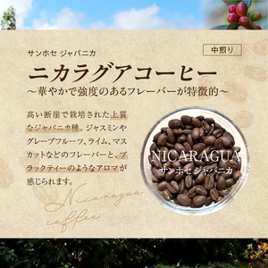 風味際立つ　手鍋焙煎コーヒー豆(中米編)200g×2袋 _SC0207