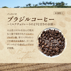 風味際立つ　手鍋焙煎コーヒー豆(南米編)200g×2袋 _SC0307