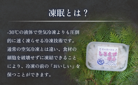 白えび刺身（むき身）2個 富山県 氷見市 白エビ 刺身 冷凍 海老