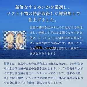 するめいか一夜干し 4枚 富山県 氷見市 イカ 干物　いか