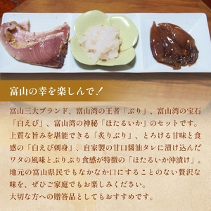 富山湾三大名産ぶり・ほたるいか・白えびのセット 富山県 氷見市 白エビぶり ほたるいか 冷凍 おかず