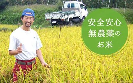 2026年産 農薬不使用 太地米完熟【こしひかり】 白米 9kg ブランド米 お米 精米 白米 人気 F7X-0671