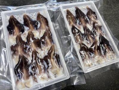 【数量限定】三河産 天然とり貝 計18枚（9枚×2パック）愛知県産 お刺身 冷凍 魚介類 海鮮 海の幸 寿司 国産 ご飯のお供 おつまみ グルメ やみつき H018-053