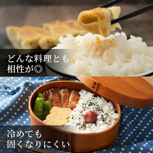 Y486 因幡の白兎米 きぬむすめ 令和8年産 精米済 10kg（5kg×2袋）