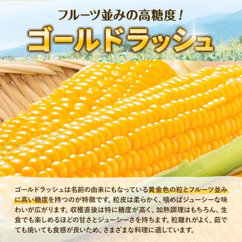 【先行予約】とうもろこし約3kg老沼利治《6月中旬-7月中旬頃出荷》朝採れスイートコーン