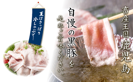 C3-0835／黒豚 下ロースしゃぶ 500g ＋ カツ用 80g×6枚　（合計980g）