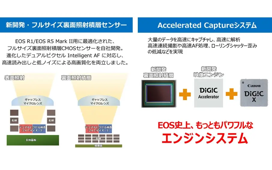 【Canon】 キヤノン ミラーレス カメラ EOS R5 MarkⅡ レンズキット キャノン 一眼 家電_0048C