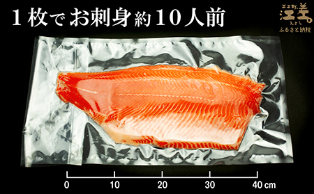 ＼配送月指定可／北海道産 サーモン フィレ 生食用 700g以上 皮なし・骨取り済 半身分　1枚でお刺身10人前分くらい　日本海 かもめ島海面養殖　純国産 ブランドサーモン『江さしっ子 繁虎』　衝撃の口どけ　とろける脂　生食可　冷凍　トラウトサーモン　刺身　サーモンステーキ　カルパッチョ　海鮮　鮭　さけ　シャケ　しゃけ　さーもん　のし対応可　贈答用　ギフト　お中元　お歳暮