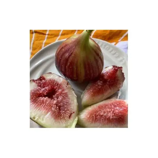 M005　いちじくプリンセス１箱