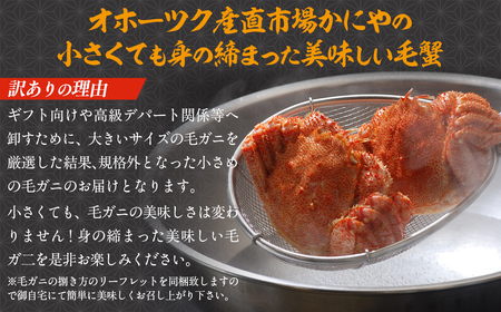 【訳あり】活〆茹で毛蟹1尾 約300g 【ふるさと納税 人気 おすすめ ランキング カニ かに 蟹 毛がに 毛蟹 毛ガニ 活〆 茹で 茹で毛ガニ 活〆毛ガニ 活〆毛がに 訳あり 海鮮 オホーツク 北海道 網走市 送料無料 】  ABAO2199