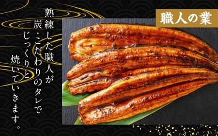 国産うなぎ！＜うなぎ 国産 うなぎ蒲焼 5～8尾 計1kg以上＞ふるさと納税 うなぎ 高級 長蒲焼 鰻 夏バテ防止 ウナギ 鰻 かば焼き 蒲焼き 丑の日 タレ 宮崎県産 国産 九州産 宮崎県 高鍋町 送料無料【TVで話題沸騰！】【MR-g-005-00-01】