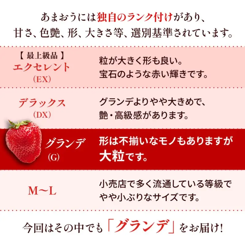 定期便 3ヶ月 福岡県産 あまおう 合計1500g 先行予約 2027年1月より順次発送 いちご イチゴ 苺 果物 3回 ※配送不可：離島