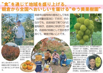 2026年12月発送　訳あり 規格外品　志波の富有柿 約3kg 柿 ※配送不可：離島