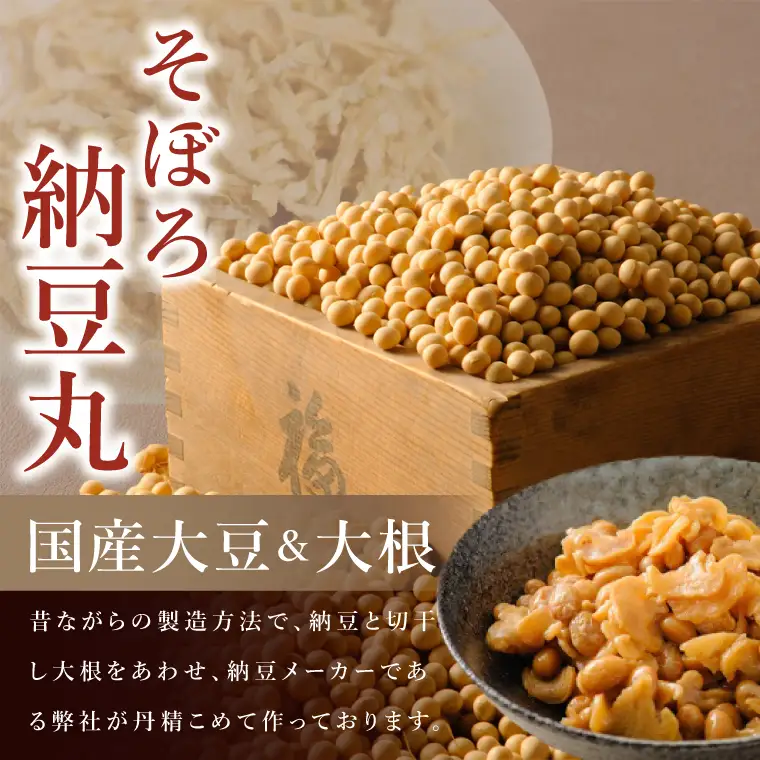 【3ヶ月定期便】【水戸納豆】水戸納豆のイチオシ 水戸の宴「山」14個セット×３（DL-30）